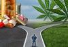 Exkluzivní studie: CBD z konopí vs prášky z lékáren