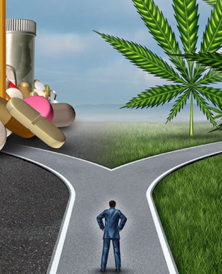 Exkluzivní studie: CBD z konopí vs prášky z lékáren