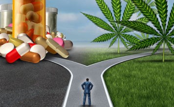 Exkluzivní studie: CBD z konopí vs prášky z lékáren