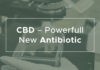 CBD by mohla v budoucnu nahradit antibiotika