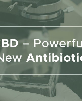 CBD by mohla v budoucnu nahradit antibiotika