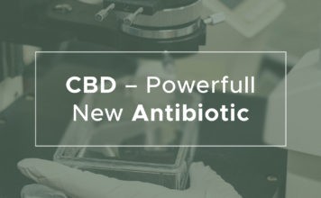 CBD by se mohla v budoucnu stát hlavní složkou pro antibiotika CBD by mohla v budoucnu nahradit antibiotika