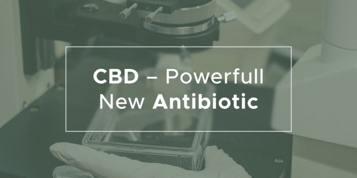 cbd-antibiotika CBD by mohla v budoucnu nahradit antibiotika