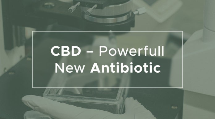 CBD by mohla v budoucnu nahradit antibiotika