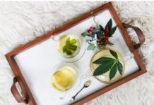 CBD olej –  Úvod do problematiky kapky cbd