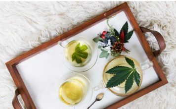 CBD olej – Úvod do problematiky kapky cbd