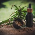 Jak poznat kvalitní CBD produkt? Jak poznat kvalitní CBD produkt?