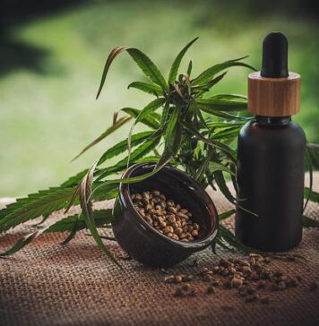 Jak poznat kvalitní CBD produkt? Jak poznat kvalitní CBD produkt?